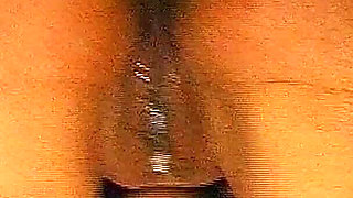 John Thompson: Leni Swallow