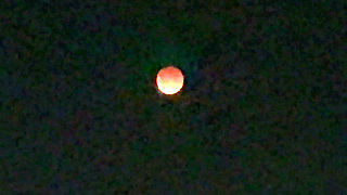 Backseat Action 4 (bsa4) Lunar Eclipse
