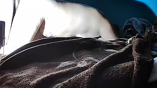 I still don't put it in and he tells me that it will hurt