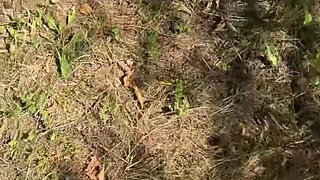 Cumshot flash for a girl tanning at the sun