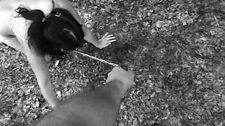 Pet Girl Obedience Training