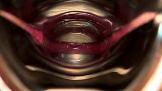 Brunette and her toys have close up masturbation sex