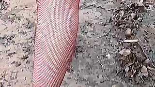 Who Wants to Go for a Walk with Me?