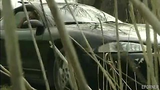 Vintage sex in the car