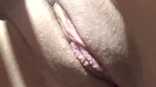 Do You Like My New Bush?