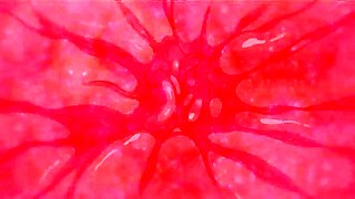 Endless Passion beyond control_170224p0010