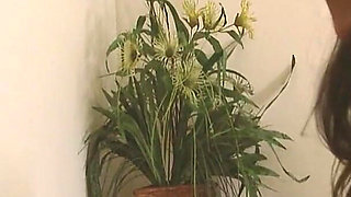 Big Cocks Addicts Scene-2_latina Brunette with a Big Ass Enjoys a Huge Cock in a Hard Fuck