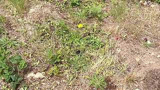 July 2026 Pee Comp