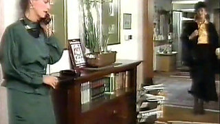 The Perfect Stranger (1988)