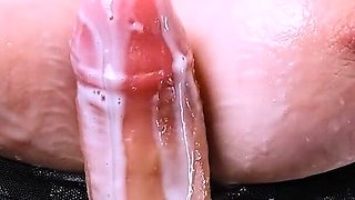 Try Not to Cum Challenge 11 - Quickfire Edition
