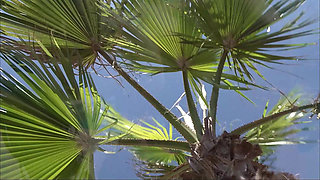 Hot Sluts Fuck Strangers by the Pool on Vacation!
