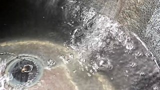 x3xF7D0D83A31A9031D29