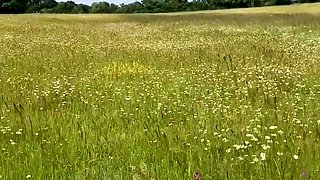 Great Big Boobs On Masturbating Redhead