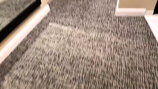 OnlyFans-Ashley Lane BBC Hotel Hookup Oiled Up Intimacy