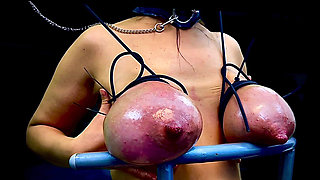 Huge Hucow Udders Tied and Whipped