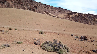 In Teide Park